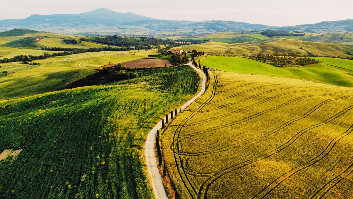 Tuscan Hills