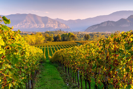 Luxury Supercar Rental Italian Lakes & Franciacorta | Ferrari & Michelin Tours